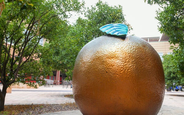 CHASS Orange Sculpture